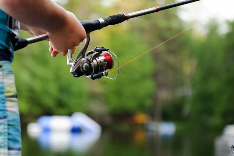 Reeling in Success: How to Maintain and Care for Your Fishing Reel