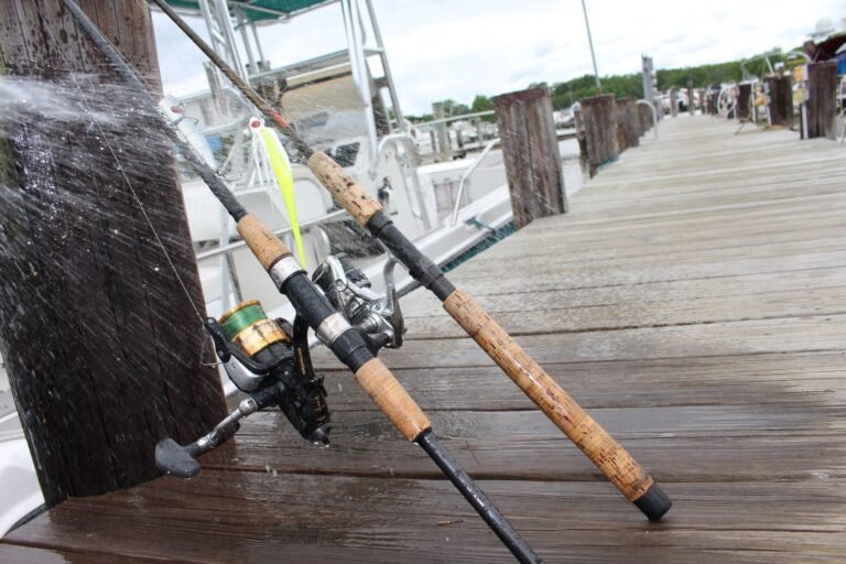 How to Properly Maintain Your Fishing Reels for Longevity