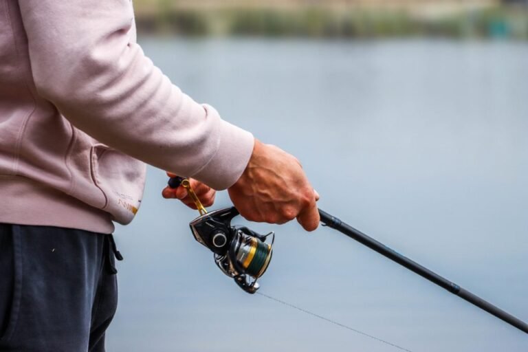 Exploring the Different Types of Fishing Reels and When to Use Them