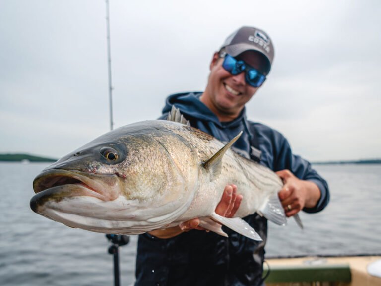 10 Tips for Catching Big Game Fish like a Pro