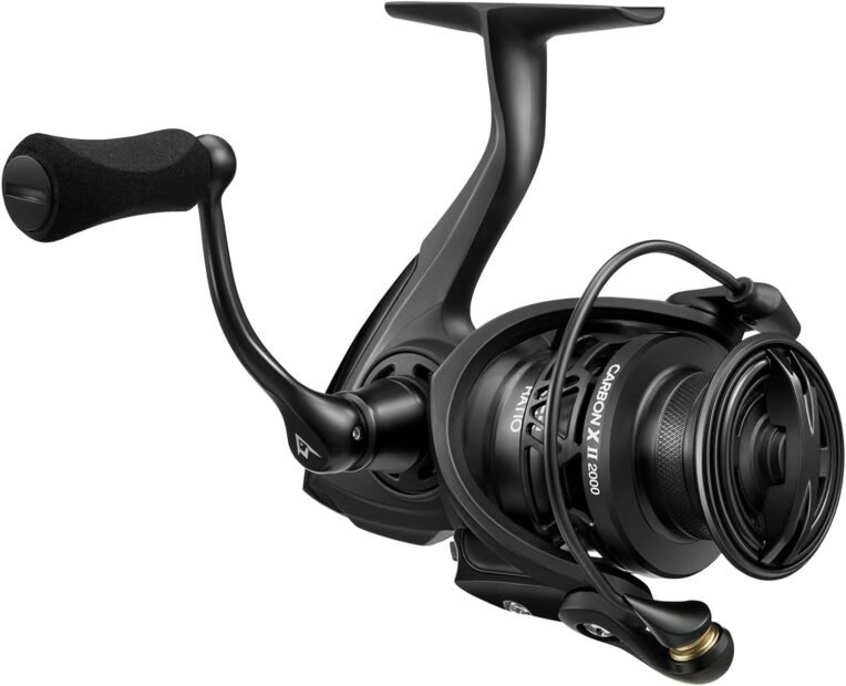 Piscifun Carbon X II Spinning Reel Review