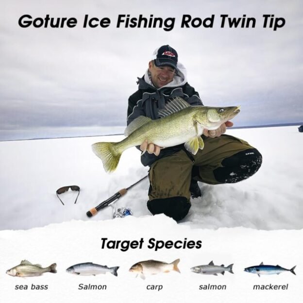 Goture Ice Fishing Rod Twin Tip, 32” Sensitive Ice Fishing Pole Ice Fishing Gear with 2 Different Action Tips in One Rod, High Visibility Fishing Poles with EVA Handle, 2 Different Models-Graphite